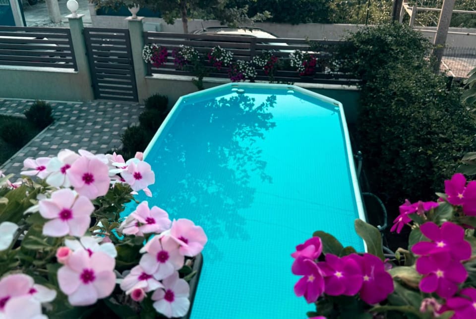 Garden, Garden view, Swimming pool
