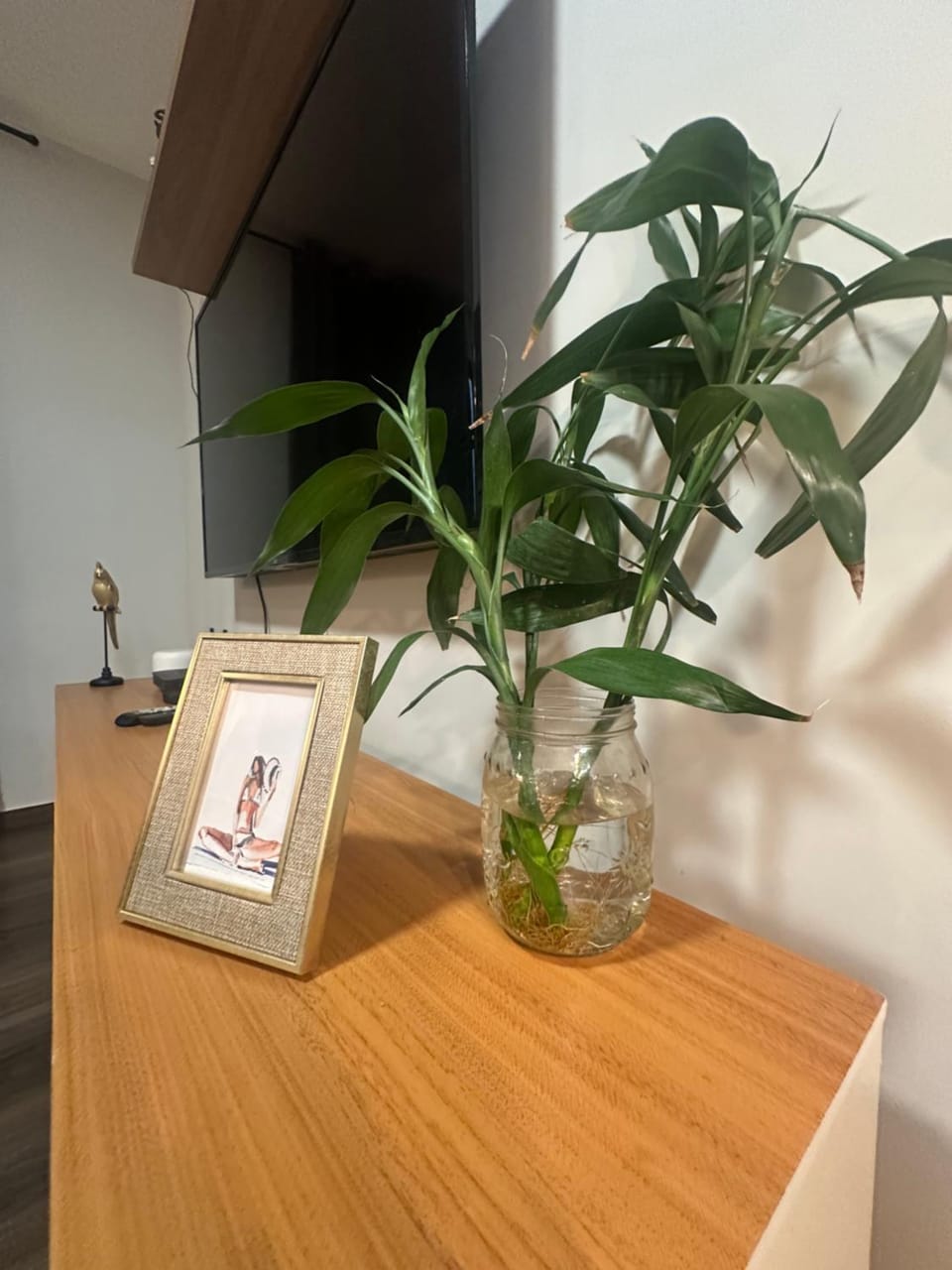 Apto Conforto Av Rio Verde C Ar Cond Wi-Fi garagem Apartment in Goiania