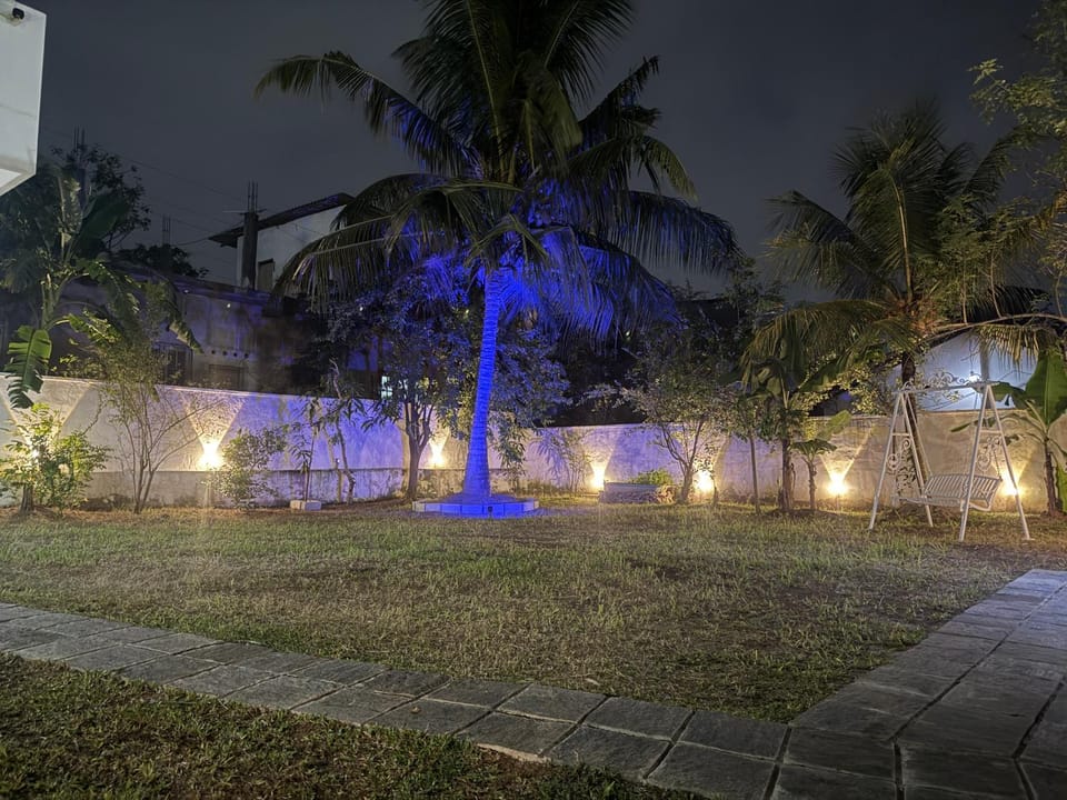 Night, Garden, Garden view