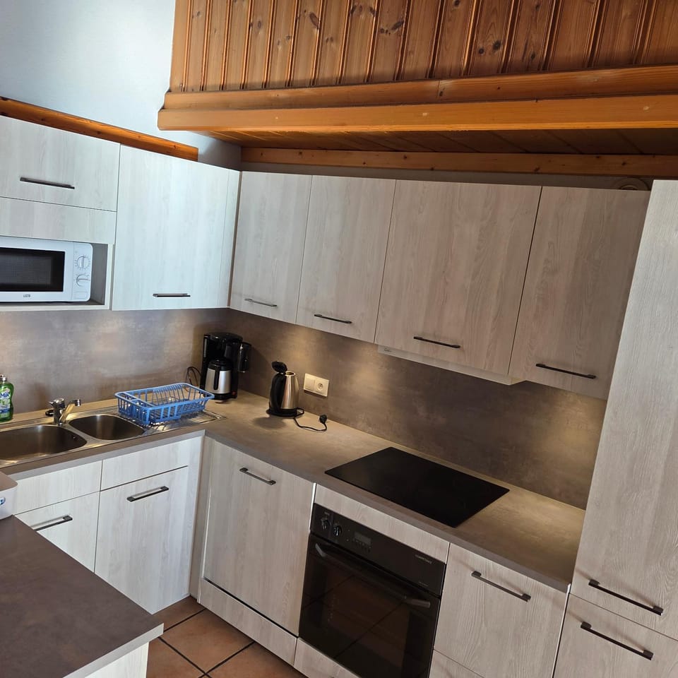 Kitchen or kitchenette, dishwasher, oven, stove, toaster