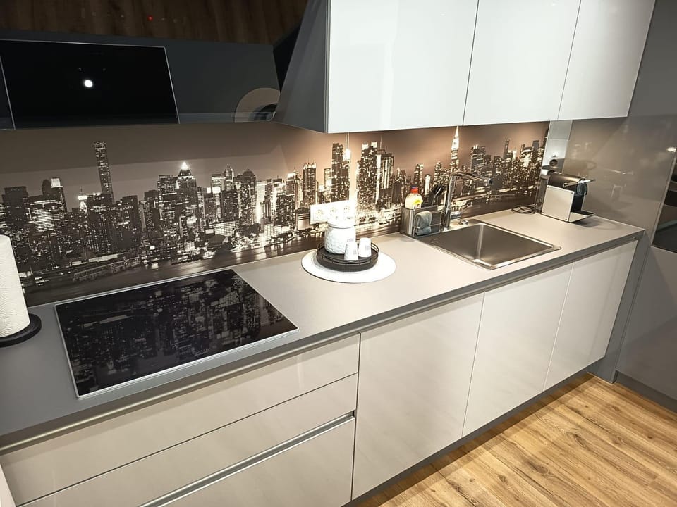 Kitchen or kitchenette, dishwasher, stove