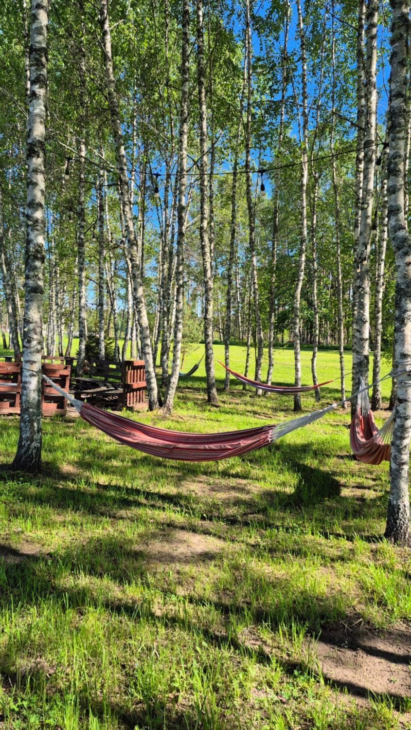 Natural landscape, Garden, Seating area