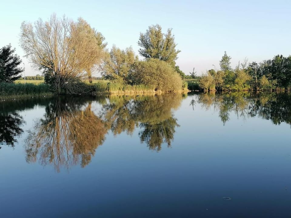 Natural landscape, Lake view