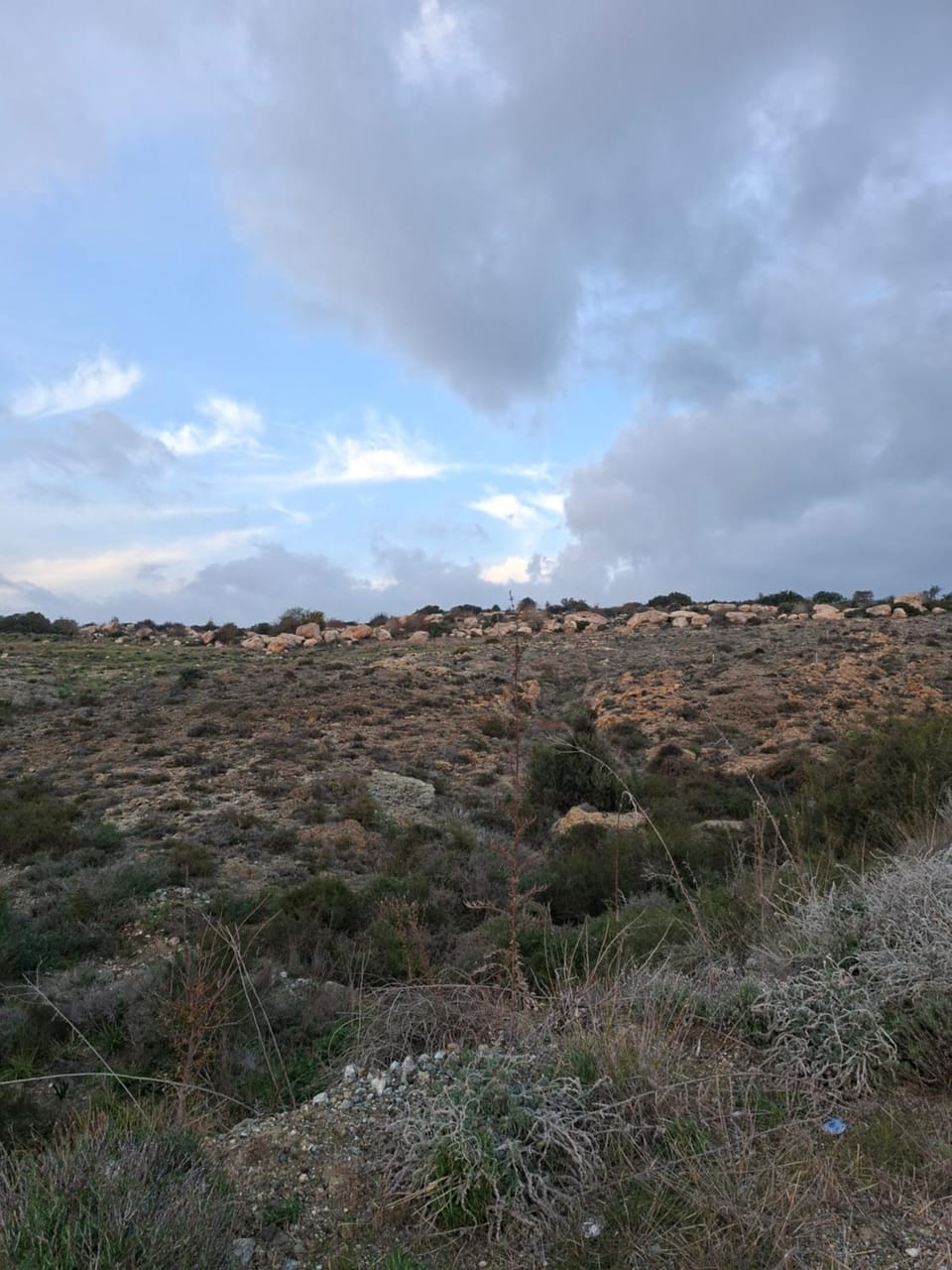Natural landscape