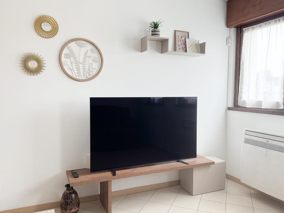 TV and multimedia