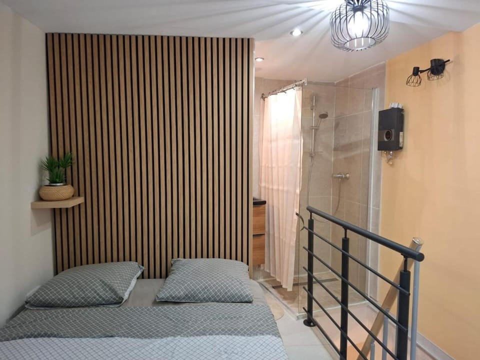 Cozy Duplex Du Peyrou Cœur Saint Anne Apartment in Montpellier