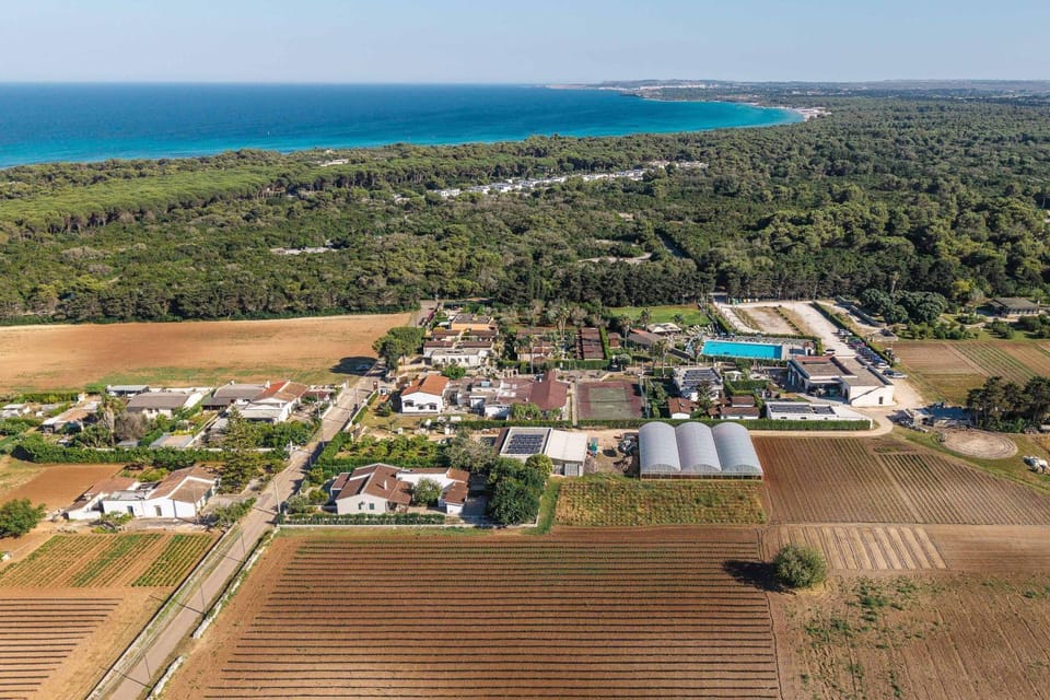 Day, Natural landscape, Bird's eye view, Beach, Sea view, Location