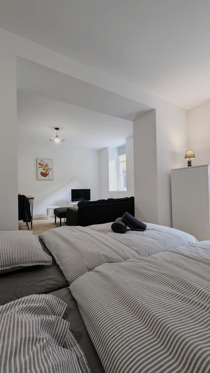 Charmant appartement 2 personnes, plein centre Apartment in Saarland, 66, Germany