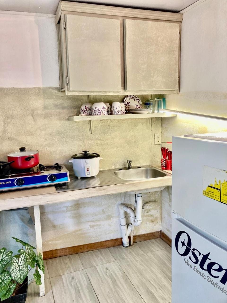 Kitchen or kitchenette, kitchen