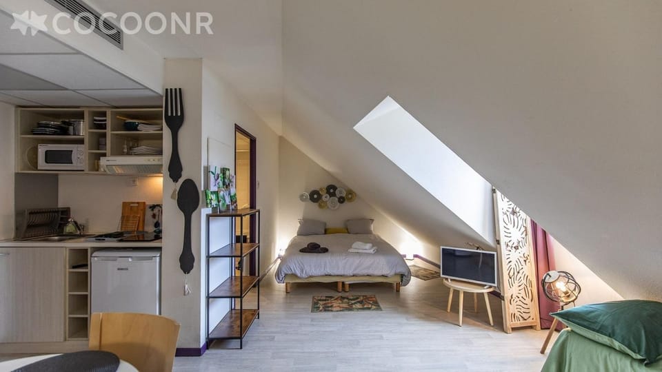 Grand studio 4 personnes bien placé gare , sanctuaire ,centre ville Apartment in Lourdes