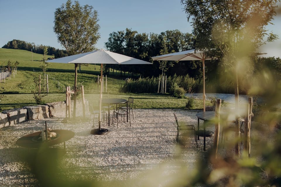 Spring, Day, Natural landscape, BBQ facilities, Garden, Garden view