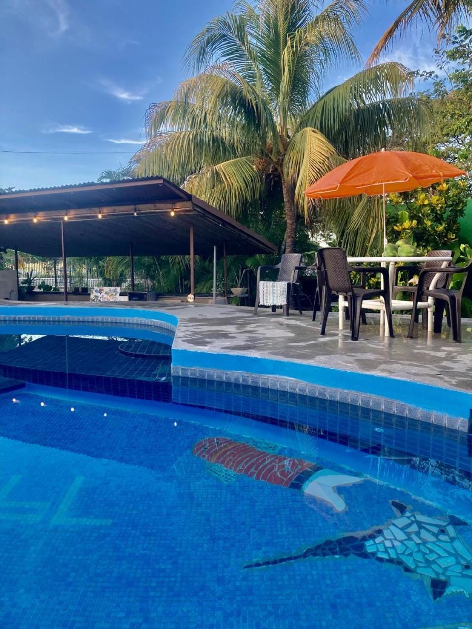 Lounge or bar, Swimming pool