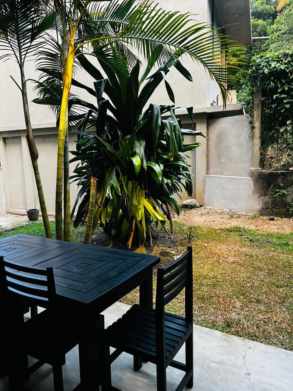 Dining area, Garden view
