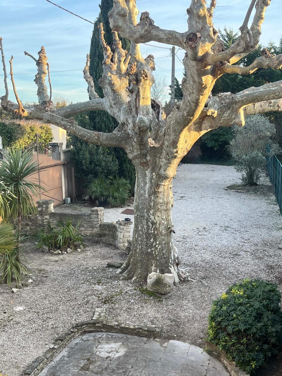 Garden view, Parking