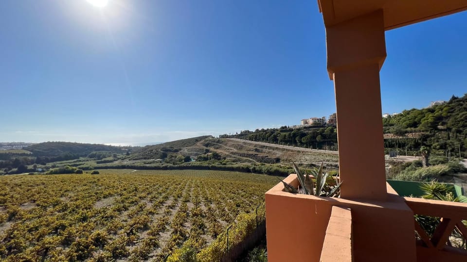 View (from property/room)