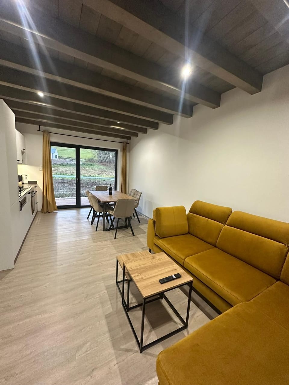 Living room, kitchen