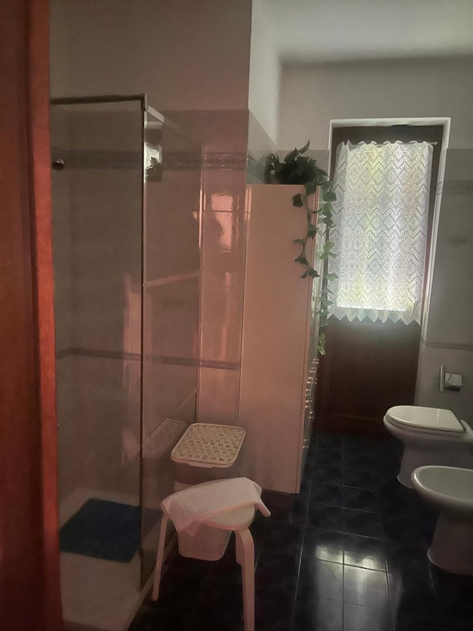 Shower, Toilet, Bathroom, bidet