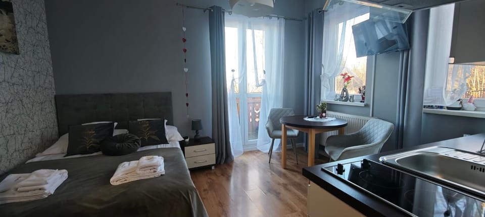 studio z balkonem przy Stoku Relaks Apartment in Lower Silesian Voivodeship