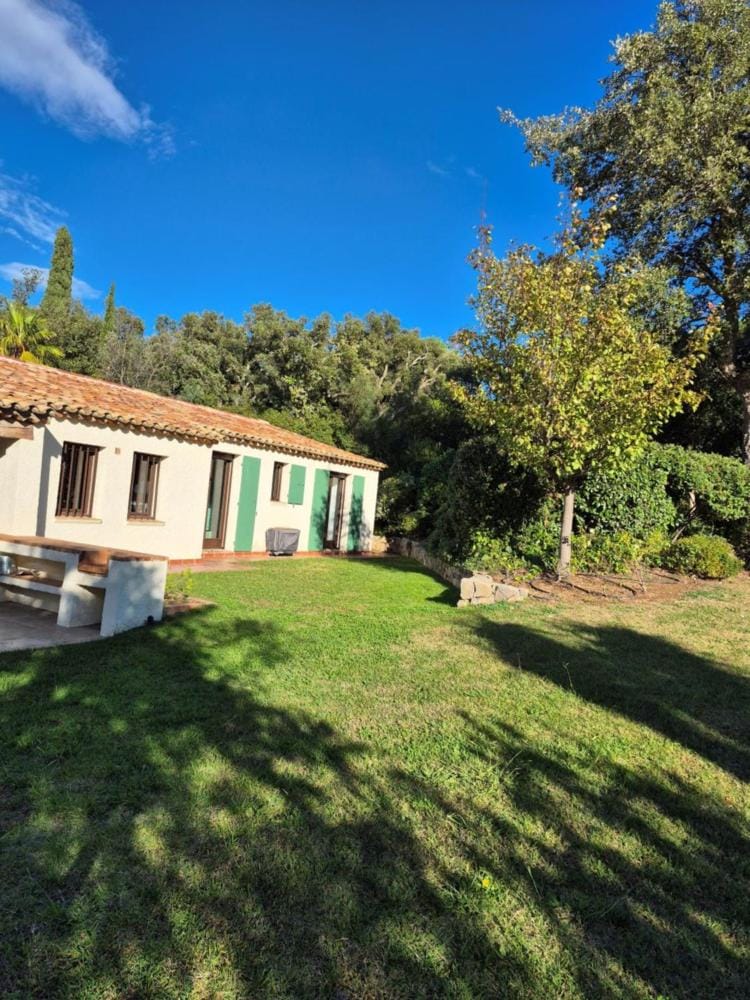 Garden, Garden, Garden view