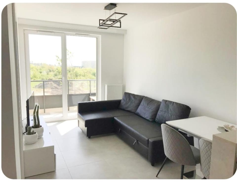 Apartament Gdansk Szary Apartment in Gdansk