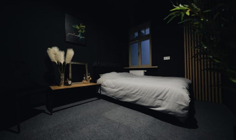 Studio Jadwigii - 24h self check-in Hostel in Poznan