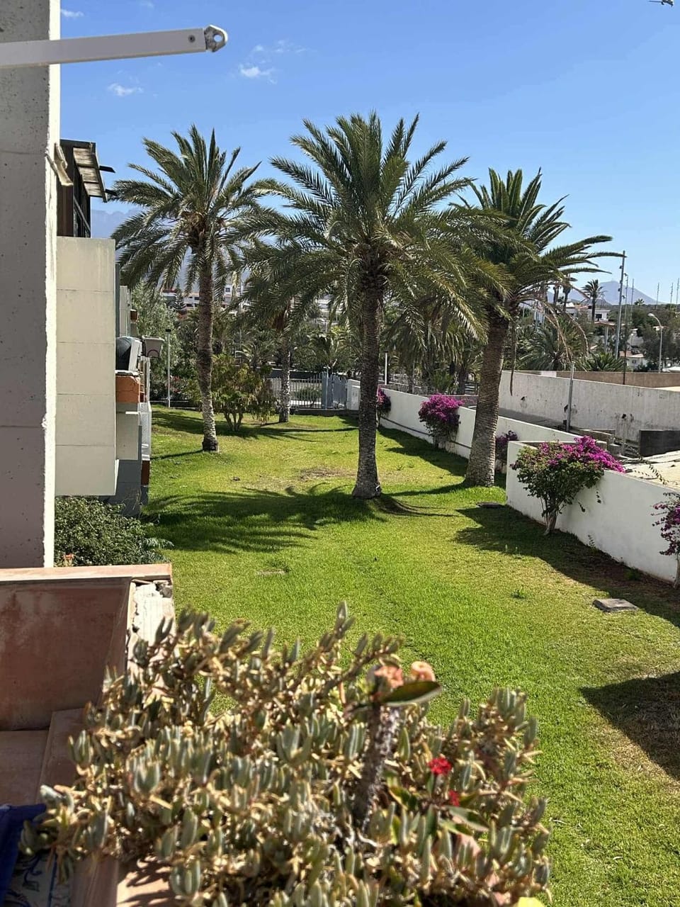 Loropalm Apartment Apartment in Abona