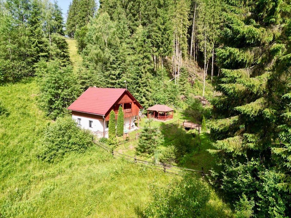 Property building, Day, Natural landscape, Garden, Garden view
