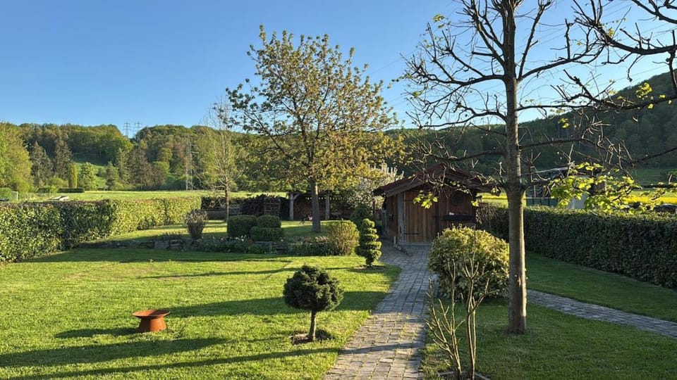 Spring, Day, Natural landscape, Garden, Garden view