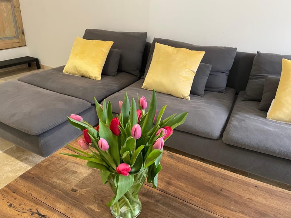 Belle maison à 5 min du château de Grignan Apartment in Grignan