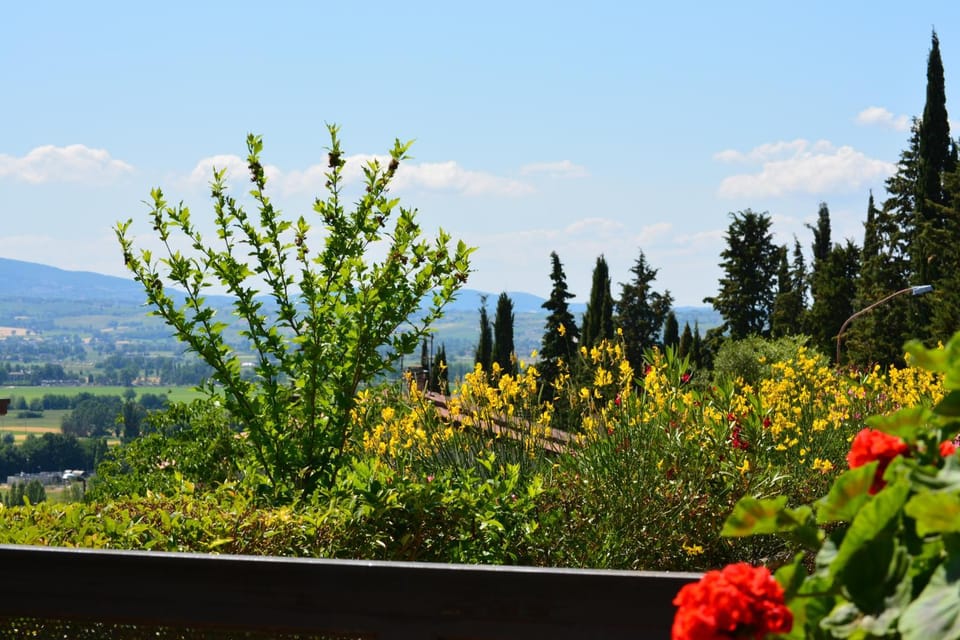 B&B Il Giovine Bed and Breakfast in Umbria
