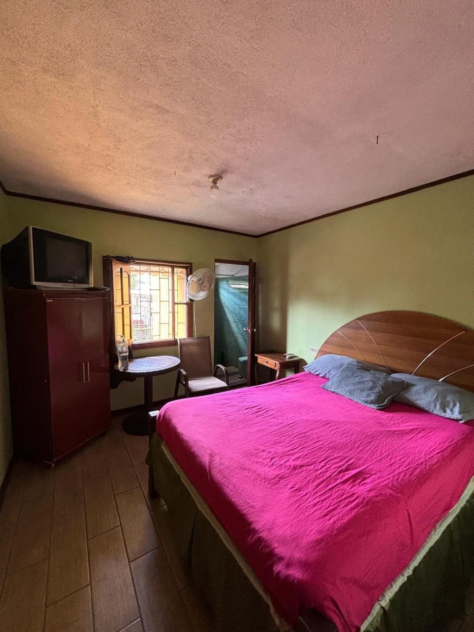 Casa de Huéspedes Karlsson Vacation rental in Managua (Department)
