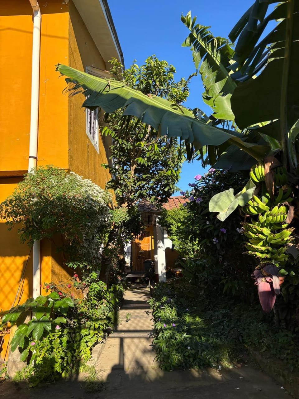 Casa de Huéspedes Karlsson Vacation rental in Managua (Department)