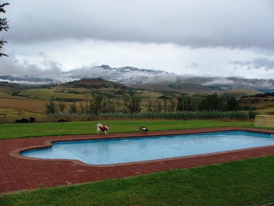 Mountain view