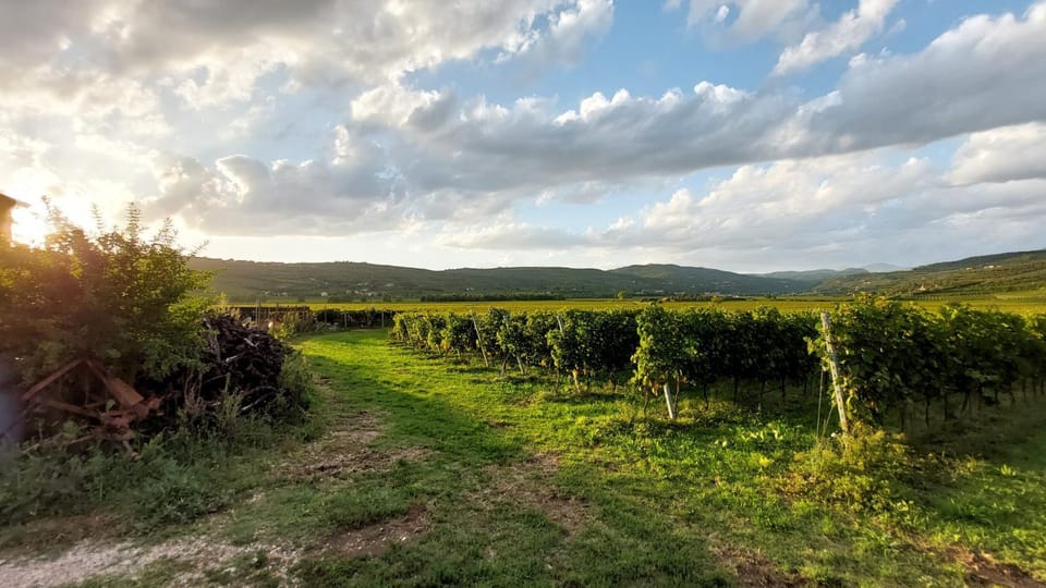 Natural landscape, Garden view, Mountain view