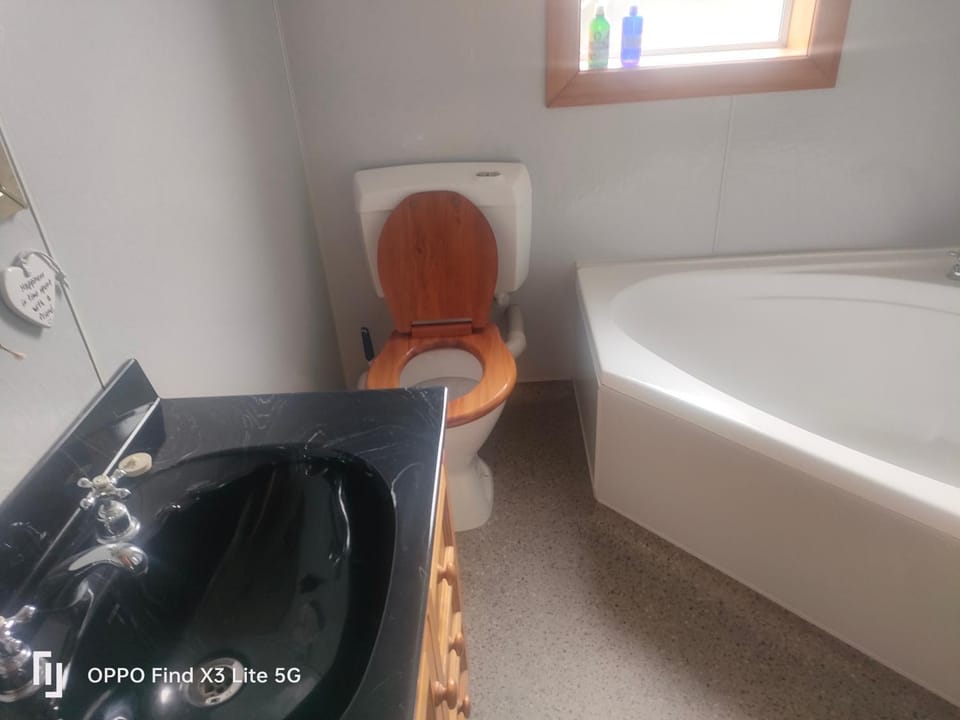 The Welcome House meet Daisy the golden retriever Vacation rental in Dunedin
