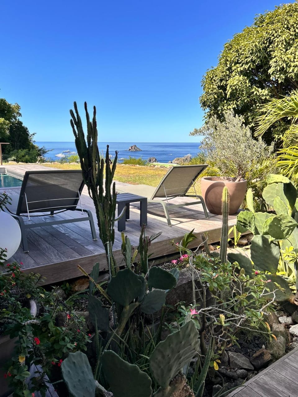 Garden view, Sea view