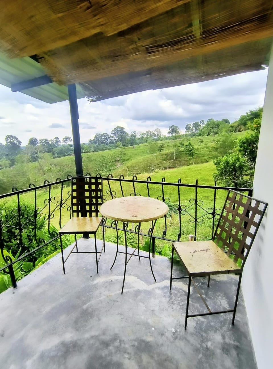 Natural landscape, View (from property/room), Balcony/Terrace, Garden view