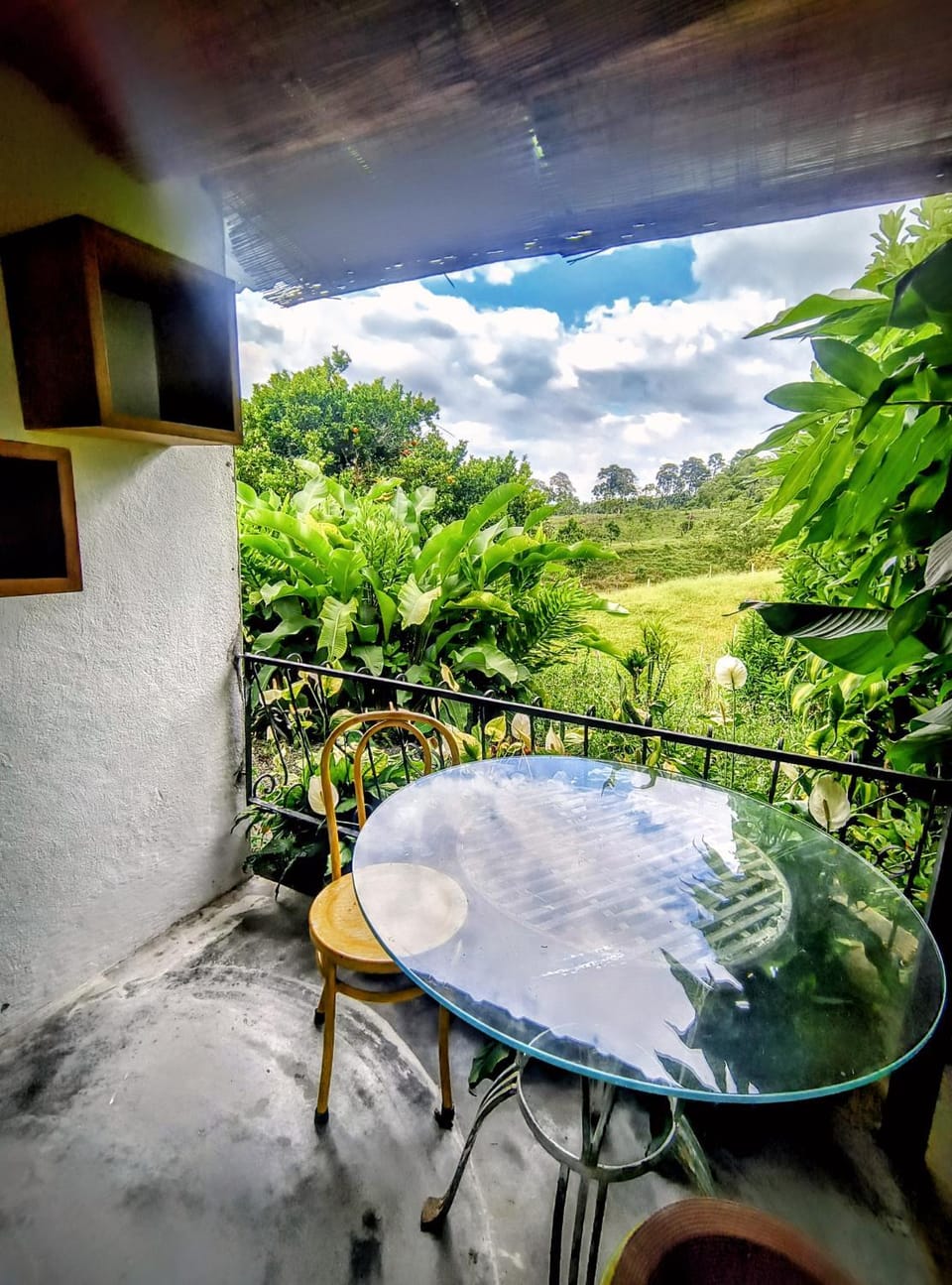 Balcony/Terrace