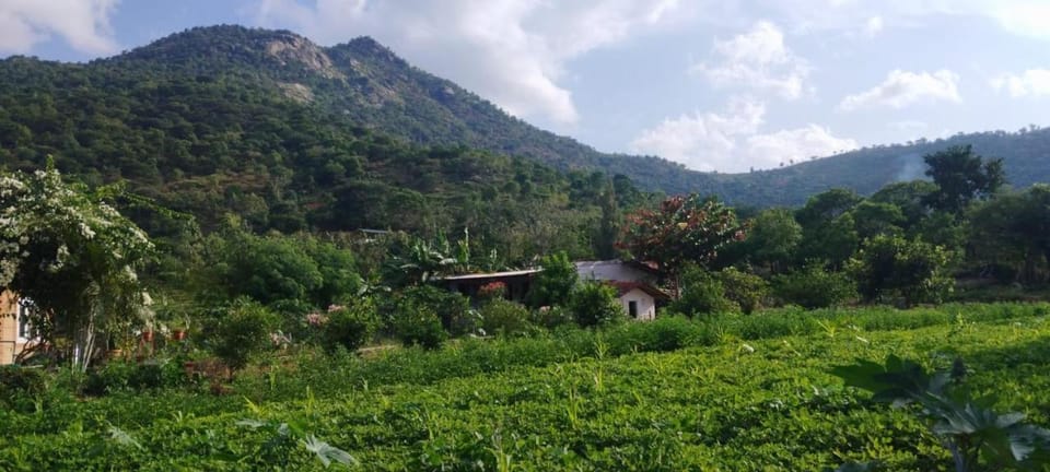 Aalamaram Farm Farm Stay in Tamil Nadu