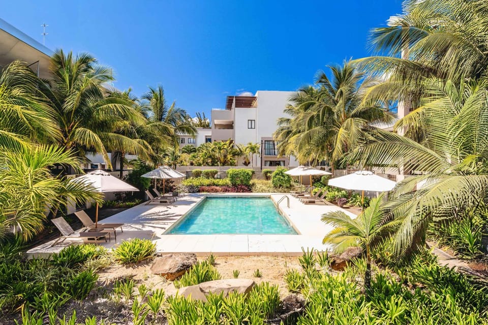 Garden, Swimming pool, sunbed