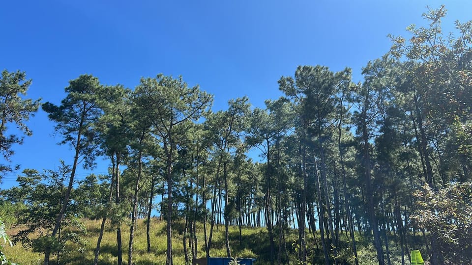Natural landscape