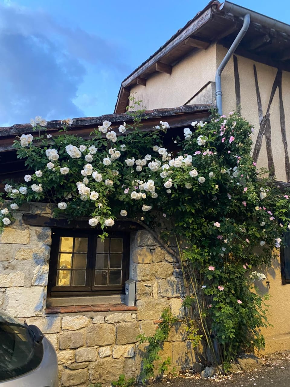 Property building, Spring