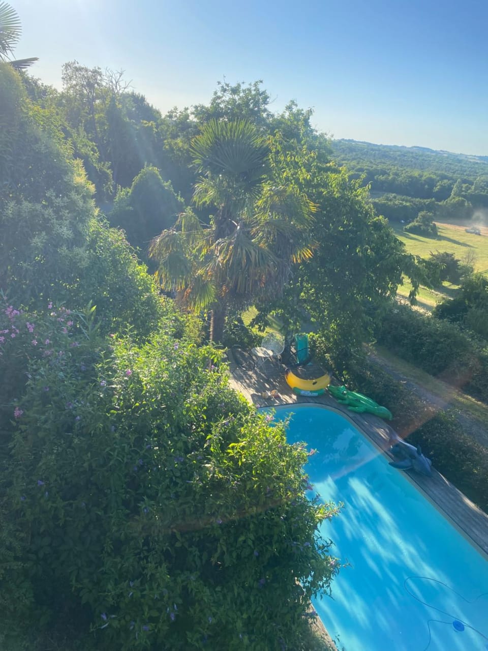 Natural landscape, Pool view, Swimming pool