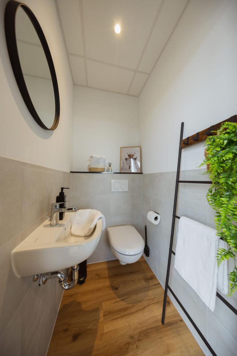 Toilet, Bathroom, towels
