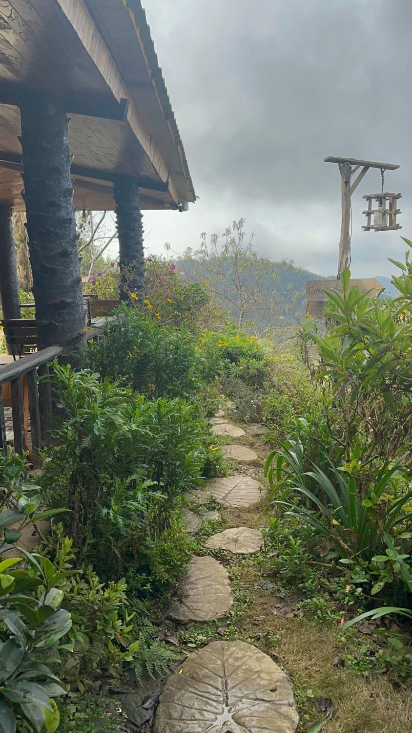 Forest House Tà Xùa Apartment in Vietnam
