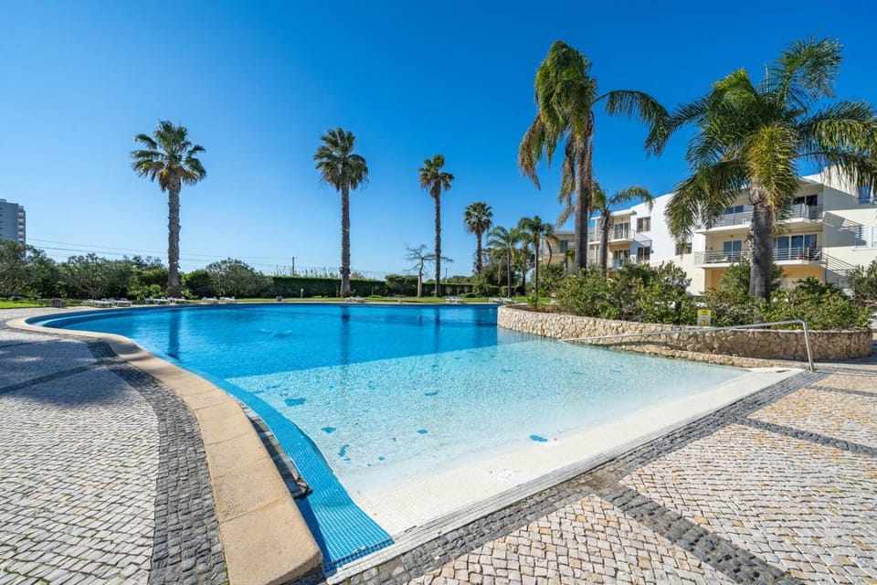 Property building, Day, Garden, Garden view, Pool view, Swimming pool