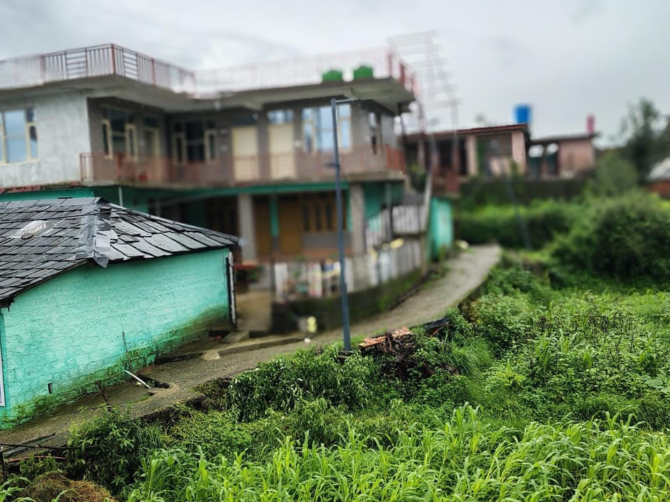Property building, Spring, Garden, Garden view