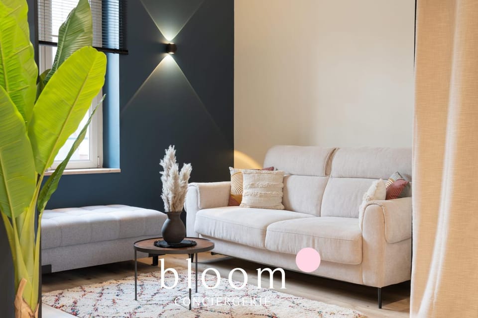 Le Somptueux de la Croix de Bourgogne Apartment in Nancy