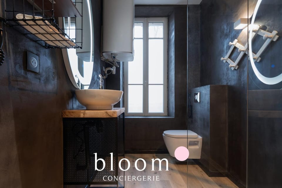 Le Somptueux de la Croix de Bourgogne Apartment in Nancy