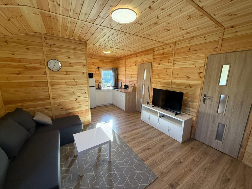 TV and multimedia, Living room, Seating area, Evening entertainment